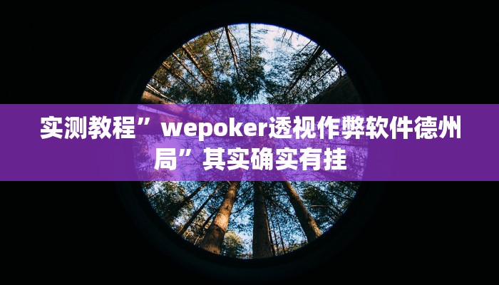 实测教程”wepoker透视作弊软件德州局”其实确实有挂