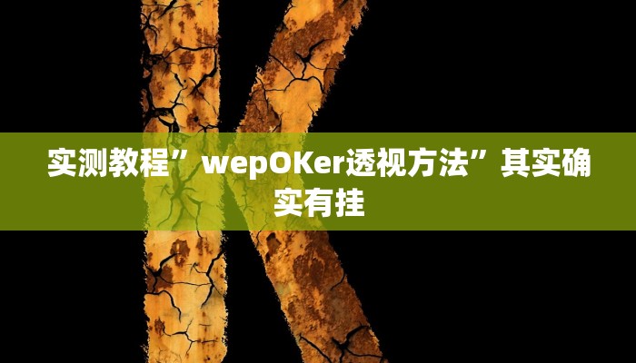 实测教程”wepOKer透视方法”其实确实有挂