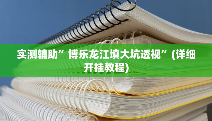 实测辅助”博乐龙江填大坑透视”(详细开挂教程)