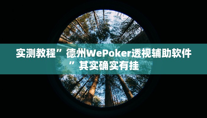 实测教程”德扑之星有没有透视”其实确实有挂