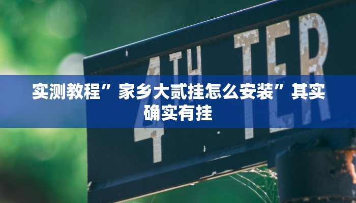 实测教程”家乡大贰挂怎么安装”其实确实有挂