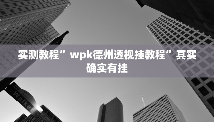 实测教程”wpk德州透视挂教程”其实确实有挂