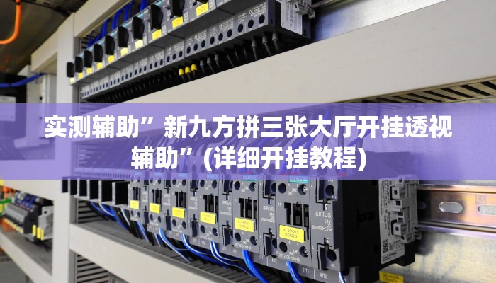 实测辅助”新九方拼三张大厅开挂透视辅助”(详细开挂教程)
