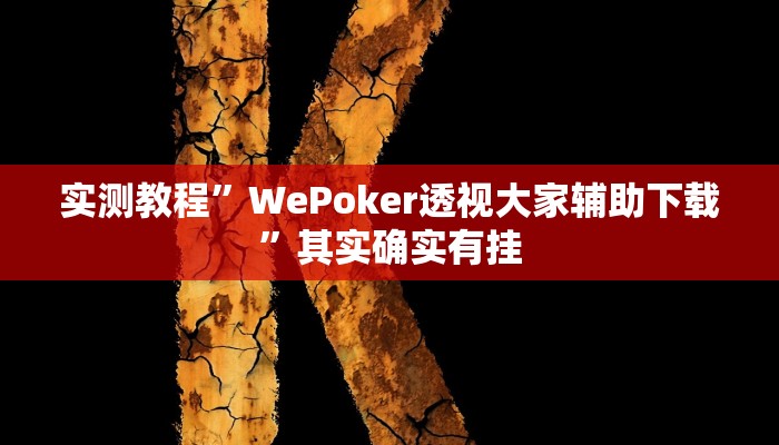实测教程”WePoker透视大家辅助下载”其实确实有挂