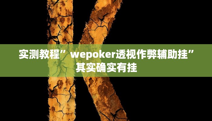 实测教程”wepoker透视作弊辅助挂”其实确实有挂