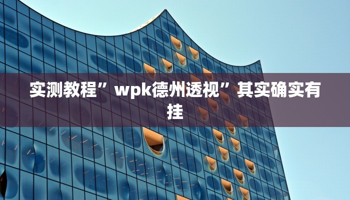 实测教程”wpk德州透视”其实确实有挂