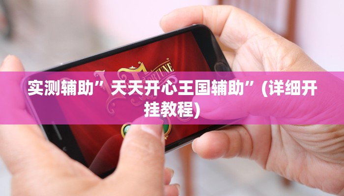 实测辅助”天天开心王国辅助”(详细开挂教程)