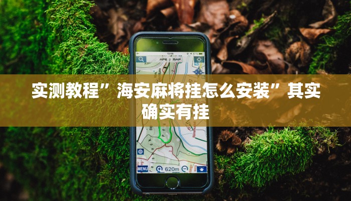 实测教程”海安麻将挂怎么安装”其实确实有挂