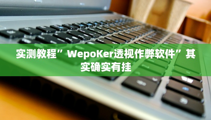 实测教程”WepoKer透视作弊软件”其实确实有挂
