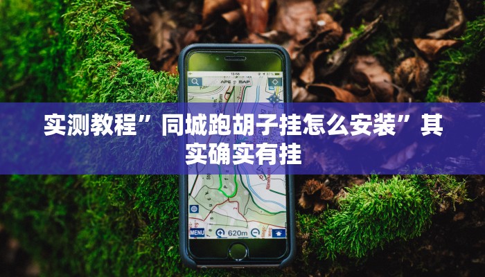 实测教程”同城跑胡子挂怎么安装”其实确实有挂
