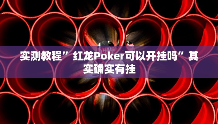 实测教程”红龙Poker可以开挂吗”其实确实有挂