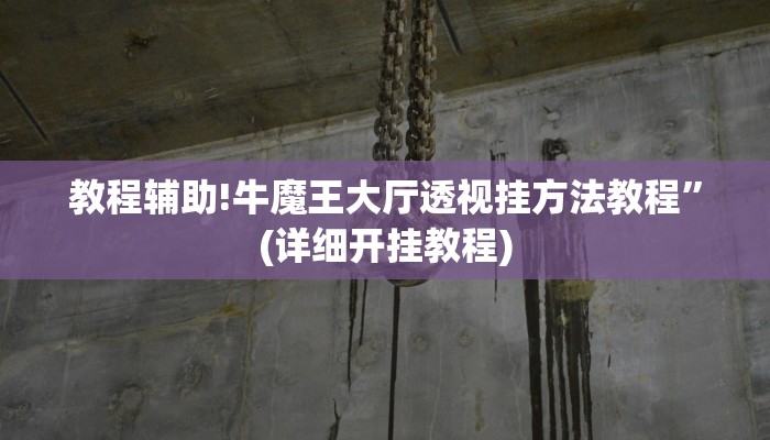 实测教程”新奇玩乐有透视挂吗”其实确实有挂