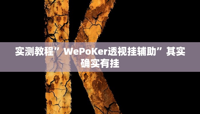 实测教程”WePoKer透视挂辅助”其实确实有挂