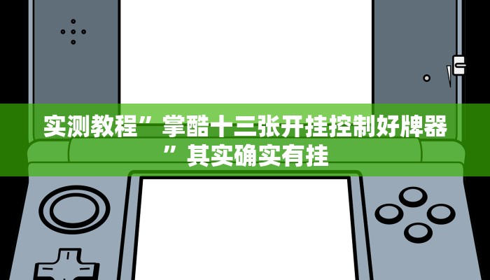 实测教程”掌酷十三张开挂控制好牌器”其实确实有挂
