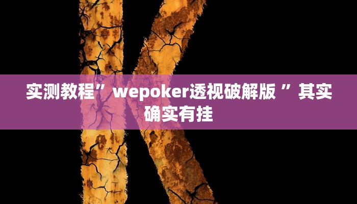 实测教程”wepoker透视破解版 ”其实确实有挂