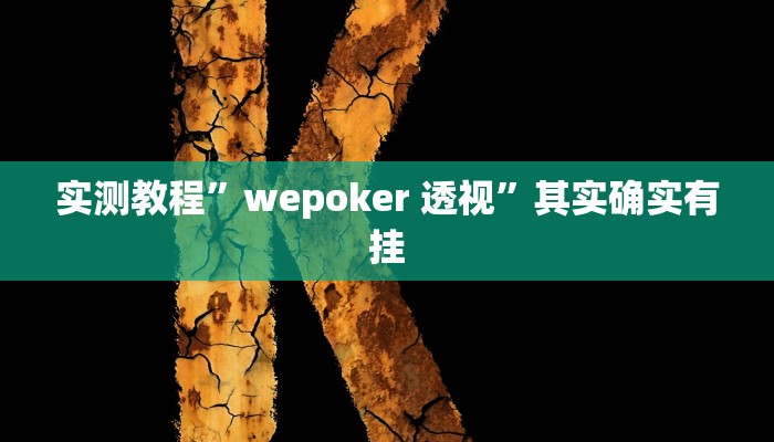 实测教程”wepoker 透视”其实确实有挂