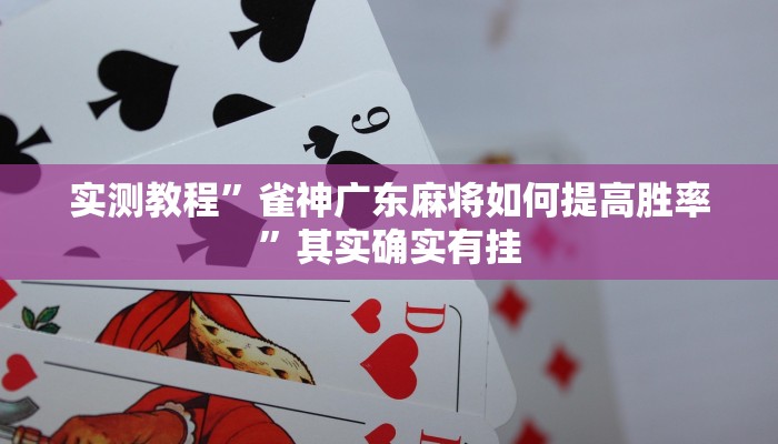 实测教程”雀神广东麻将如何提高胜率”其实确实有挂