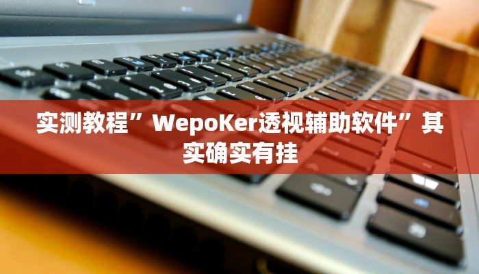 实测教程”WepoKer透视辅助软件”其实确实有挂