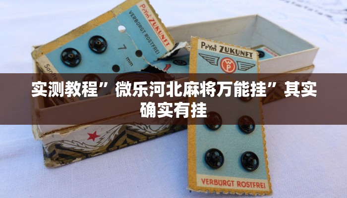 实测教程”微乐河北麻将万能挂”其实确实有挂