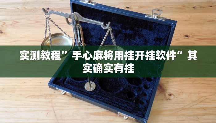 实测教程”手心麻将用挂开挂软件”其实确实有挂