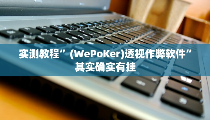 实测教程”(WePoKer)透视作弊软件”其实确实有挂