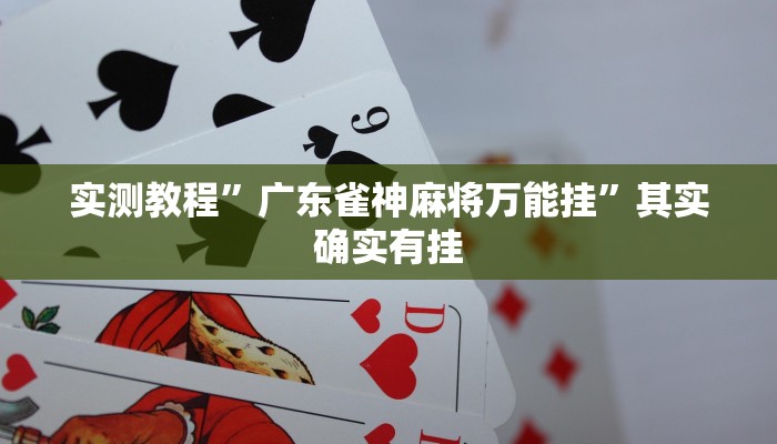 实测教程”广东雀神麻将万能挂”其实确实有挂