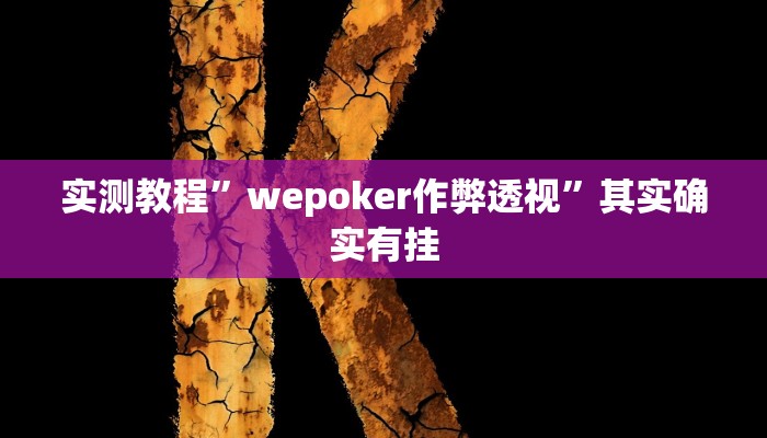 实测教程”wepoker作弊透视”其实确实有挂