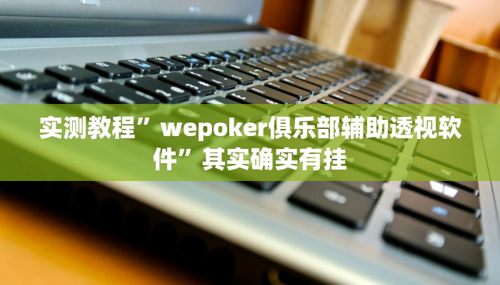 实测教程”wepoker俱乐部辅助透视软件”其实确实有挂