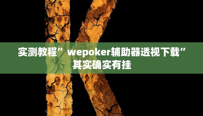 实测教程”wepoker辅助器透视下载”其实确实有挂