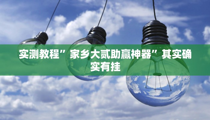 实测教程”家乡大贰助赢神器”其实确实有挂