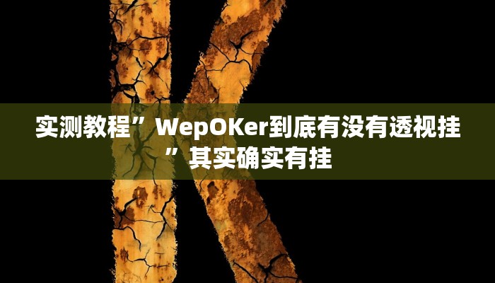 实测教程”WepOKer到底有没有透视挂”其实确实有挂