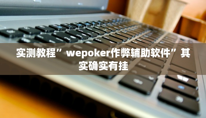 实测教程”wepoker作弊辅助软件”其实确实有挂
