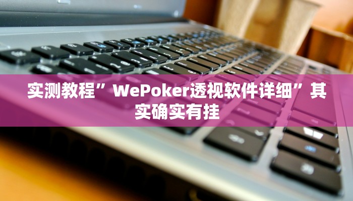 实测教程”WePoker透视软件详细”其实确实有挂