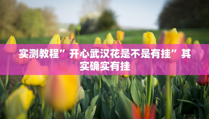 实测教程”开心武汉花是不是有挂”其实确实有挂