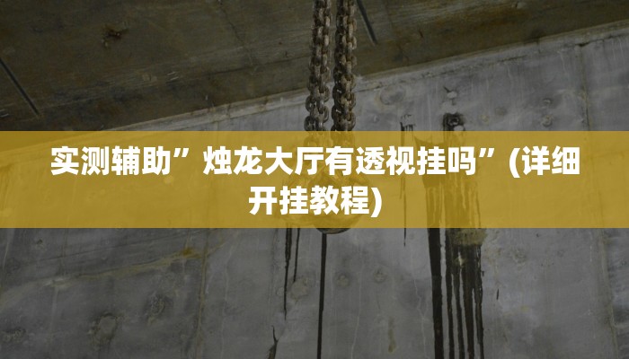 实测辅助”烛龙大厅有透视挂吗”(详细开挂教程)