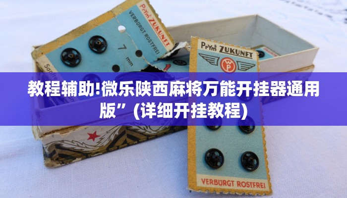 教程辅助!微乐陕西麻将万能开挂器通用版”(详细开挂教程)