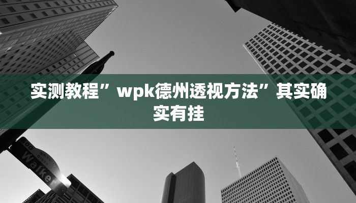 实测教程”wpk德州透视方法”其实确实有挂