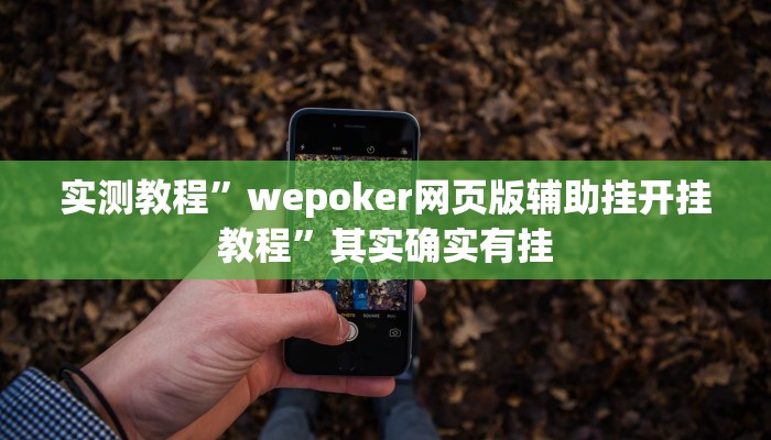 实测教程”wepoker网页版辅助挂开挂教程”其实确实有挂