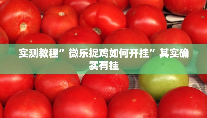 实测教程”微乐捉鸡如何开挂”其实确实有挂