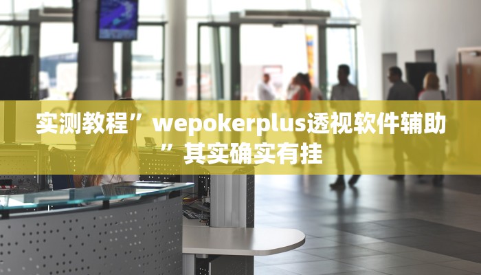 实测教程”wepokerplus透视软件辅助”其实确实有挂