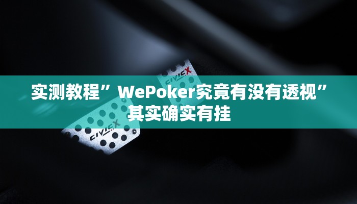 实测教程”WePoker究竟有没有透视”其实确实有挂