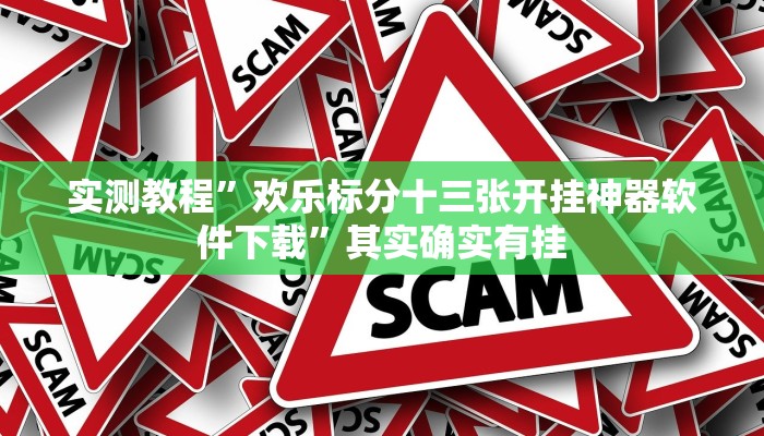 实测教程”欢乐标分十三张开挂神器软件下载”其实确实有挂