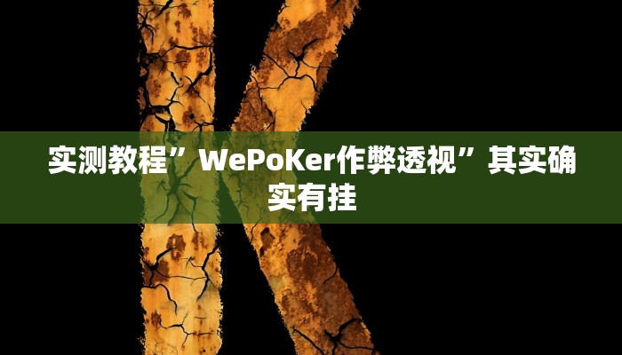 实测教程”WePoKer作弊透视”其实确实有挂