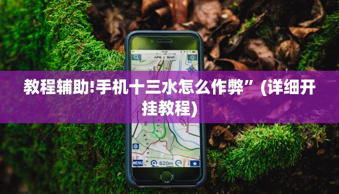 教程辅助!手机十三水怎么作弊”(详细开挂教程)