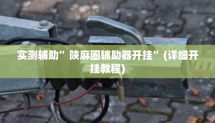 实测辅助”陕麻圈辅助器开挂”(详细开挂教程)