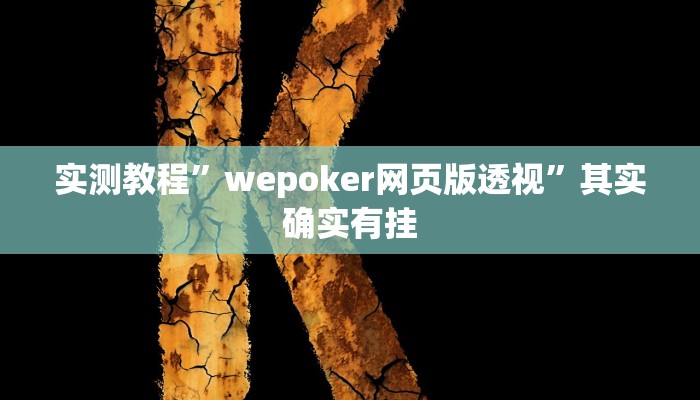 实测教程”wepoker网页版透视”其实确实有挂