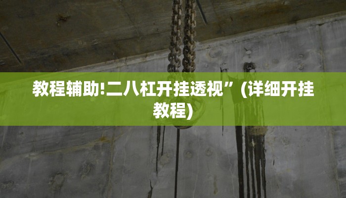 教程辅助!二八杠开挂透视”(详细开挂教程)