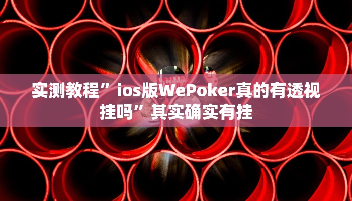 实测教程”ios版WePoker真的有透视挂吗”其实确实有挂