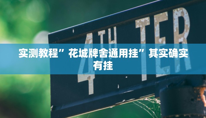 实测教程”花城牌舍通用挂”其实确实有挂