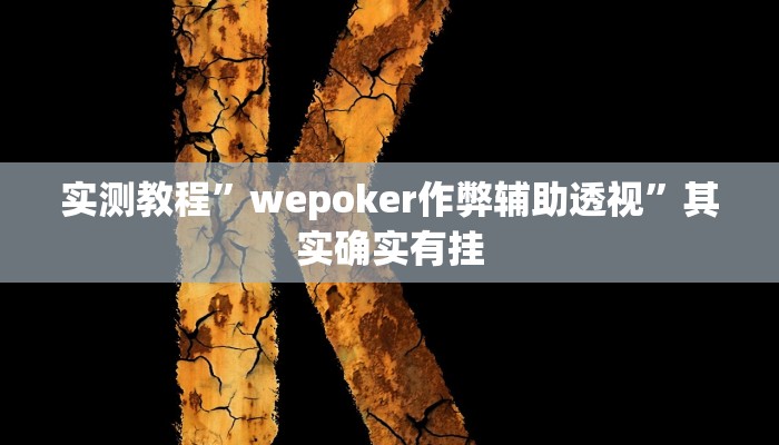 实测教程”wepoker作弊辅助透视”其实确实有挂